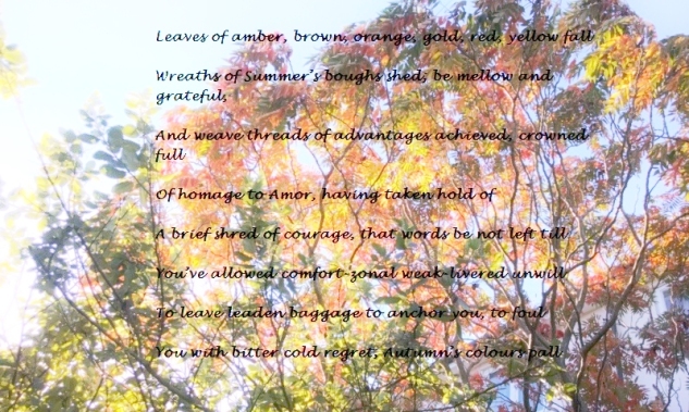 autumn-trees-1-copy